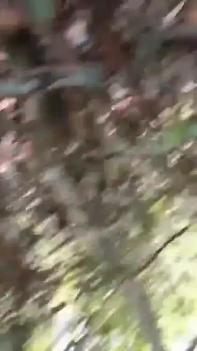 Nagalnad OutDoor Porn Viral MMS OF Collage Lover